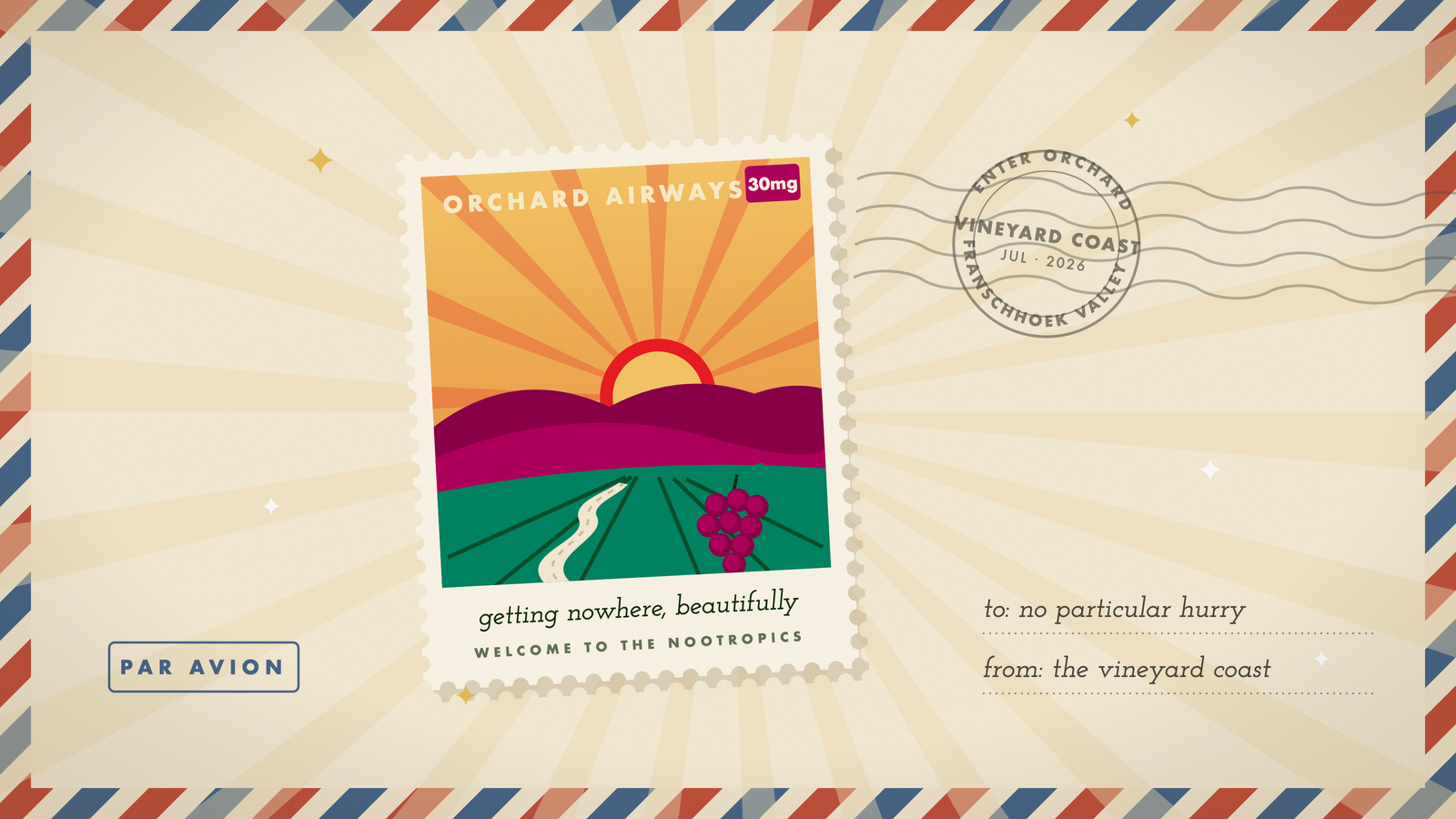 Retro travel stamp of vineyard rows and a winding lane at sunset on the Vineyard Coast, with a grape cluster, in Orchard's marigold and cream palette.