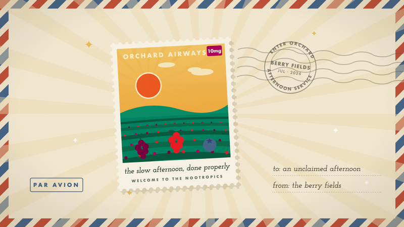 Retro travel stamp of berry-field rows in low afternoon light with a wild berry cluster, in Orchard's marigold and cream palette