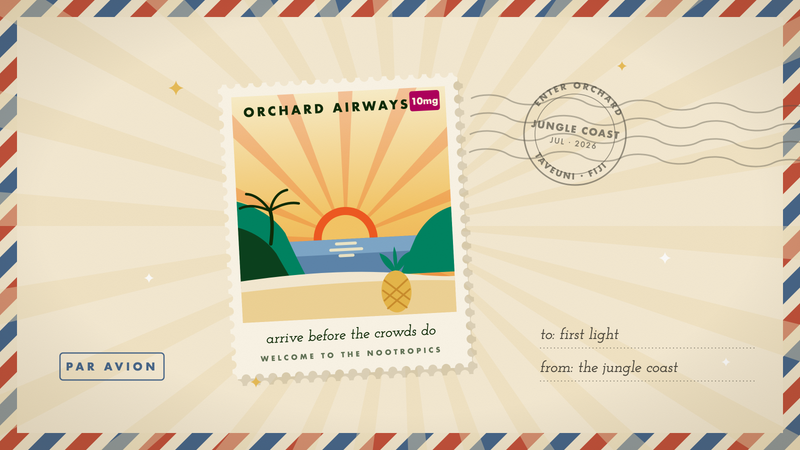 Retro travel stamp of first light over the Jungle Coast of Taveuni: palm headlands, sunrise on the sea, and a pineapple on the sand, in Orchard's marigold and cream palette.