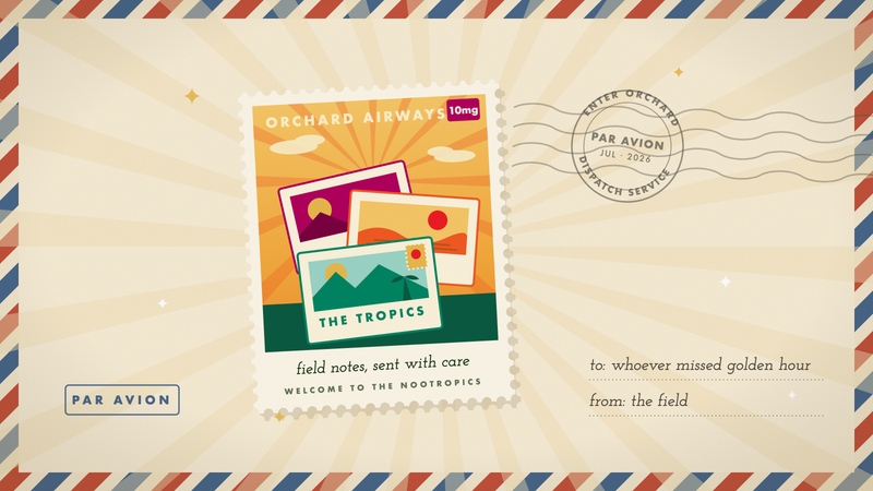 Retro airmail stamp of fanned travel postcards from Orchard's destinations in marigold, cherry, and green on cream