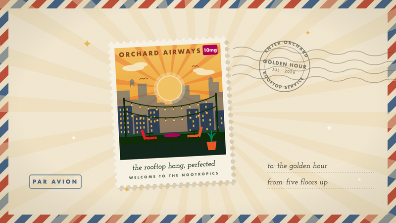 Retro travel stamp of a golden-hour rooftop: low sun over a city skyline, string lights and two lounge chairs on a terrace, in Orchard's marigold and cream palette.
