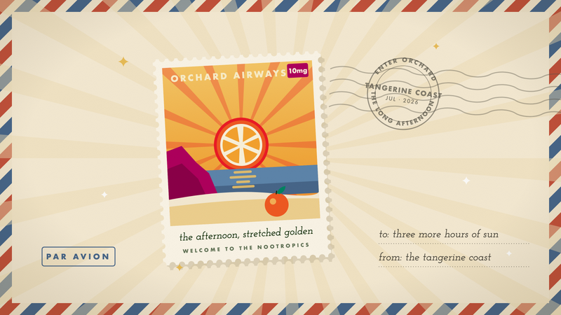 Retro travel stamp of a tangerine-slice sun setting over the sea on the Tangerine Coast, in Orchard's marigold and cream palette.
