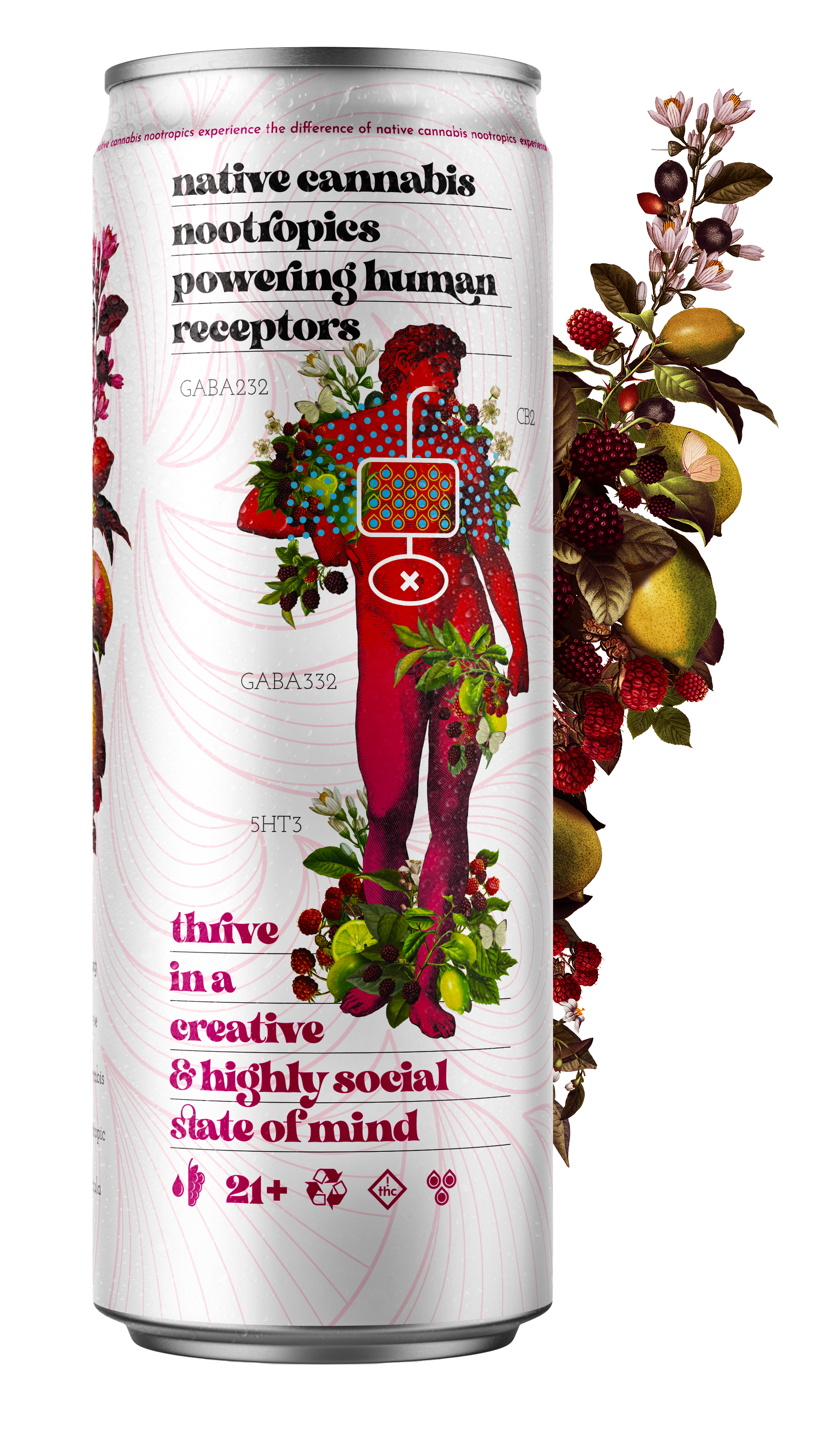 radical raspberry 4-pack.