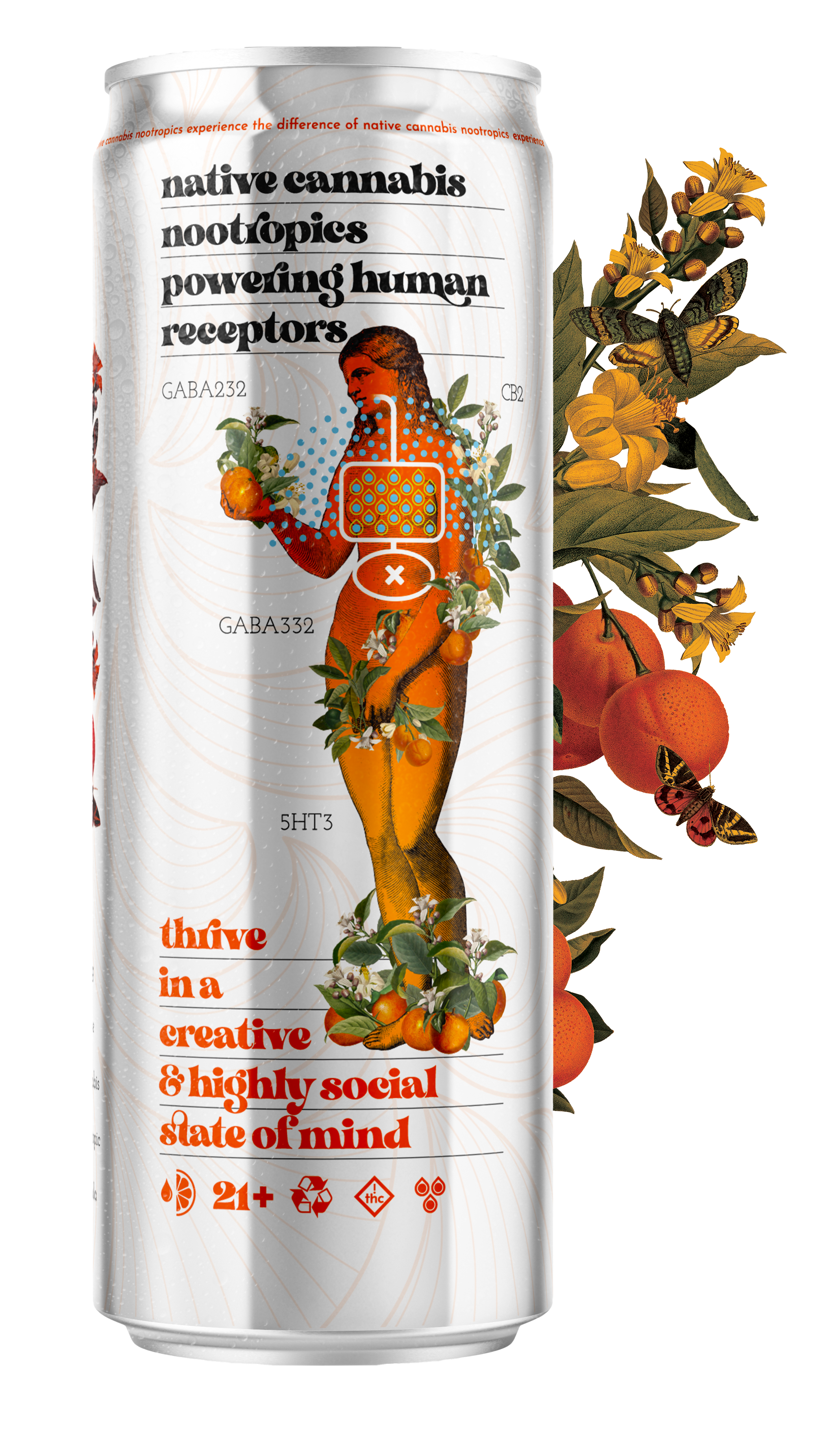 sunshine tangerine 4-pack.